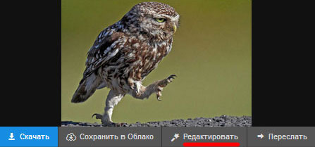 Вход в фоторедактор